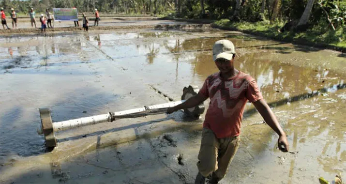 Pemerintahan Jokowi Cetak 12.290 Hektar Lahan Sawah Baru di Sultra