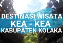 Taman Wisata Alam Keakea, Pilihan Destinasi Saat Libur Akhir Pekan Taman Wisata Alam Keakea, Pilihan Destinasi Saat Libur Akhir Pekan