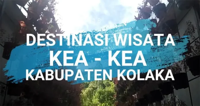 Taman Wisata Alam Keakea, Pilihan Destinasi Saat Libur Akhir Pekan