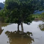 Banjir Kiriman Kembali Melanda Warga Wungguloko Koltim Banjir Kiriman Kembali Melanda Warga Wungguloko Koltim