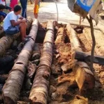 Sekelompok Pemuda Kabaena Bongkar Jembatan Usai Dituduh Pungli Sekelompok Pemuda Kabaena Bongkar Jembatan Usai Dituduh Pungli