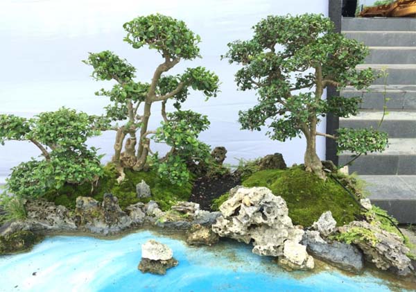 Ini Bonsai Harga Rp 15 Juta di HUT Sultra