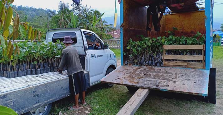 Rehabilitasi DAS Poleang, Komitmen ANTAM Lestarikan Lingkungan