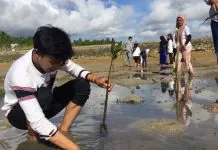 Peringati Hari Bumi, Mahasiswa FISIP Tanam Mangrove di Pesisir Tondongeu Peringati Hari Bumi, Mahasiswa FISIP Tanam Mangrove di Pesisir Tondongeu