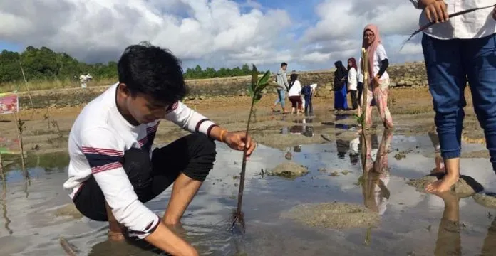 Peringati Hari Bumi, Mahasiswa FISIP Tanam Mangrove di Pesisir Tondongeu