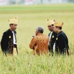 Dana APBN Untuk Sultra Meningkat Selama Pemerintahan Jokowi Dana APBN Untuk Sultra Meningkat Selama Pemerintahan Jokowi