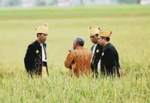 Dana APBN Untuk Sultra Meningkat Selama Pemerintahan Jokowi Dana APBN Untuk Sultra Meningkat Selama Pemerintahan Jokowi