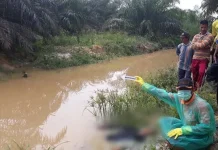 Kakek di Konawe Ini Ditemukan Meninggal dalam Kebun Sawit Kakek di Konawe Ini Temukan Meninggal dalam Kebun Sawit