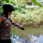 Ibu Sibuk Kerja, Balita di Konsel Tenggelam di Kubangan Bekas Galian Batu Merah Ibu Sibuk Kerja, Balita di Konsel Tenggelam di Kubangan Bekas Galian Batu Merah