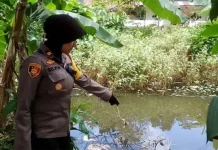 Ibu Sibuk Kerja, Balita di Konsel Tenggelam di Kubangan Bekas Galian Batu Merah Ibu Sibuk Kerja, Balita di Konsel Tenggelam di Kubangan Bekas Galian Batu Merah