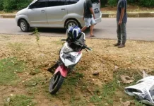 Tabrak Sapi di Muna Barat, Pengendara Motor Luka-luka Tabrak Sapi di Muna Barat, Pengendara Motor Luka-luka