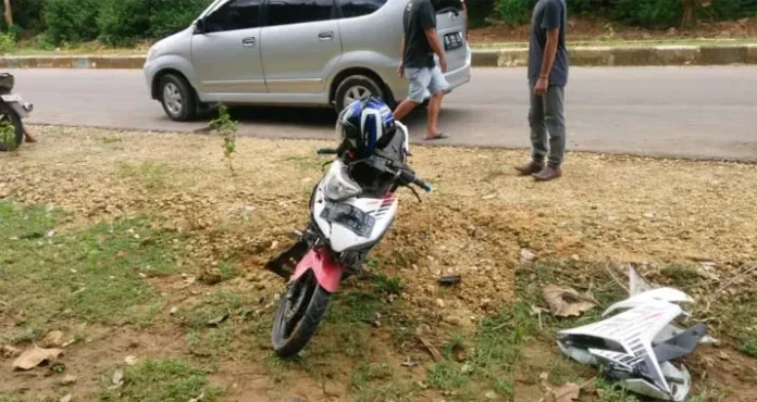 Tabrak Sapi di Muna Barat, Pengendara Motor Luka-luka