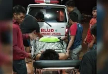 Lima Hari Begadang, Ketua PPS Lahimbua Konut Pingsan Usai perekapan Suara Pemilu Lima Hari Begadang, Ketua PPS Lahimbua Konut Pingsan Usai perekapan Suara Pemilu