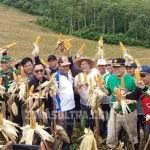 Panen Raya Jagung Hibrida, Ruksamin: Usaha Tak Akan Membohongi Hasil Panen Raya Jagung Hibrida, Ruksamin: Usaha Tak Akan Membohongi Hasil