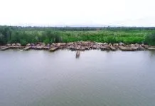 Jelajah Muara Lanowulu, Surga Bagi Burung Air Muara Lanowulu