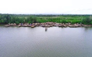 Jelajah Muara Lanowulu, Surga Bagi Burung Air Muara Lanowulu