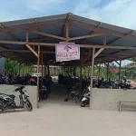 Parkiran Dikenakan Biaya, Mahasiswa Stikes Mandala Waluya Terpaksa Parkir Motor di Bahu Jalan Parkiran Dikenakan Biaya, Mahasiswa Stikes Mandala Waluya Terpaksa Parkir Motor di Bahu Jalan