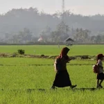 Program BTS USO Bakti, Internet Gratis Rambah Sekolah di Daerah Pelosok Sultra Program BTS USO Bakti, Internet Gratis Rambah Sekolah di Daerah Pelosok Sultra