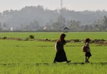 Program BTS USO Bakti, Internet Gratis Rambah Sekolah di Daerah Pelosok Sultra Program BTS USO Bakti, Internet Gratis Rambah Sekolah di Daerah Pelosok Sultra