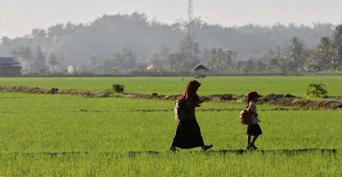 Program BTS USO Bakti, Internet Gratis Rambah Sekolah di Daerah Pelosok Sultra