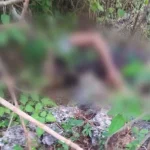 Tiga Hari Tanpa Kabar, Pria di Muna Ditemukan Membusuk di Semak Belukar Tiga Hari Tanpa Kabar, Pria di Muna Ditemukan Membusuk di Semak Belukar