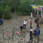 Peringati Hari Bumi, Maritim Muda Sultra Tanam Mangrove di Kendari Water Sport Peringati Hari Bumi, Maritim Muda Sultra Tanam Mangrove di Kendari Water Sport
