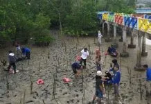 Peringati Hari Bumi, Maritim Muda Sultra Tanam Mangrove di Kendari Water Sport Peringati Hari Bumi, Maritim Muda Sultra Tanam Mangrove di Kendari Water Sport