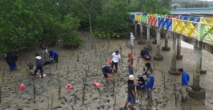 Peringati Hari Bumi, Maritim Muda Sultra Tanam Mangrove di Kendari Water Sport
