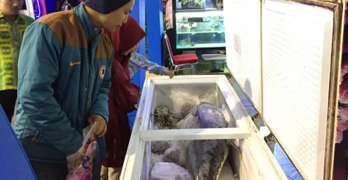 Ada Tuna Sepanjang 1,2 Meter di Pameran Halo Sultra 2019