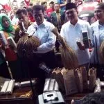 Pertanian Organik Butur, Potensi Daerah yang Didorong ke Kancah Internasional Pertanian Organik Butur, Potensi Daerah yang Didorong ke Kancah Internasional