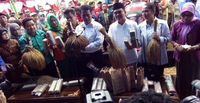 Pertanian Organik Butur, Potensi Daerah yang Didorong ke Kancah Internasional