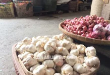 Langka, Bawang Putih di Konut Naik Hingga Dua Kali Lipat Langka, Bawang Putih di Konut Naik Hingga Dua Kali Lipat