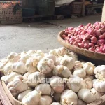 Harga Bawang Putih di Kendari Tembus Rp70 Ribu per Kilogram Harga Bawang Putih di Kendari Tembus Rp70 Ribu per Kilogram