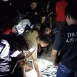 Warga Kolut Dihebohkan Naiknya Ribuan Ikan ke Pantai Warga Kolut Dihebohkan Naiknya Ribuan Ikan ke Pantai