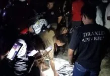 Warga Kolut Dihebohkan Naiknya Ribuan Ikan ke Pantai Warga Kolut Dihebohkan Naiknya Ribuan Ikan ke Pantai