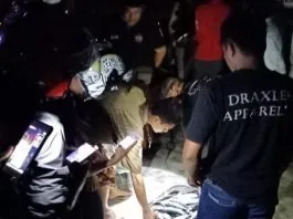 Warga Kolut Dihebohkan Naiknya Ribuan Ikan ke Pantai Warga Kolut Dihebohkan Naiknya Ribuan Ikan ke Pantai