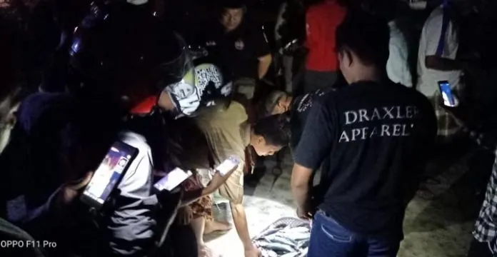 Warga Kolut Dihebohkan Naiknya Ribuan Ikan ke Pantai