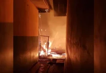 Kantin SMPN 1 Kolaka Dilalap Si Jago Merah Kantin SMPN 1 Kolaka Dilalap Si Jago Merah