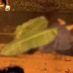 Seorang Wanita Ditemukan Tewas Tergeletak di Pinggir Jalan Seorang Wanita Ditemukan Tewas Tergeletak di Pinggir Jalan