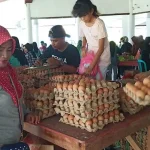 Harga Telur dan Bawang Naik, Warga di Muna Serbu Pasar Murah Harga Telur dan Bawang Naik, Warga di Muna Serbu Pasar Murah