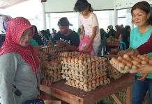 Harga Telur dan Bawang Naik, Warga di Muna Serbu Pasar Murah Harga Telur dan Bawang Naik, Warga di Muna Serbu Pasar Murah