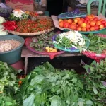 Harga Sayuran di Pasar Tradisional Kendari Masih Mahal