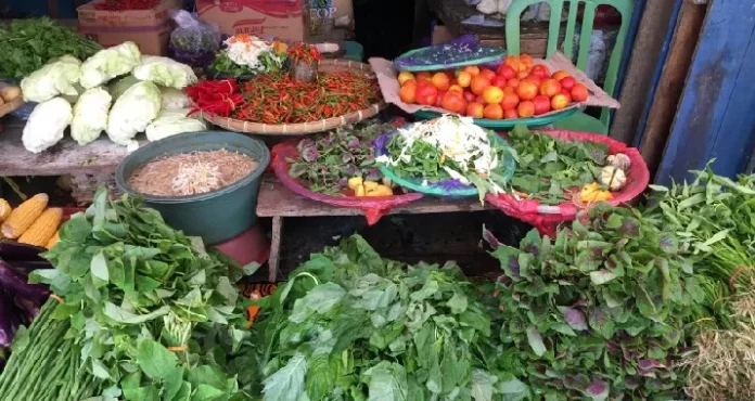 PhotoPictureResizer_190616_163726346_crop_715x380