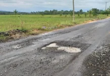 Rusaknya Aspal Dangia, Dinas PU Koltim Diminta Bertanggung Jawab PROYEK PENGASPALAN - Hujan yang turun belakangan di wilayah Kabupaten Kolaka Timur (Koltim), Sulawesi Tenggara (Sultra) juga menyebabkan rusaknya proyek pengaspalan jalan poros Desa Talinduka menuju desa Lembah Subur, Kecamatan Dangia. (Foto : Istimewa)