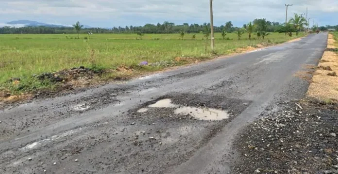 PROYEK PENGASPALAN - Hujan yang turun belakangan di wilayah Kabupaten Kolaka Timur (Koltim), Sulawesi Tenggara (Sultra) juga menyebabkan rusaknya proyek pengaspalan jalan poros Desa Talinduka menuju desa Lembah Subur, Kecamatan Dangia. (Foto : Istimewa)