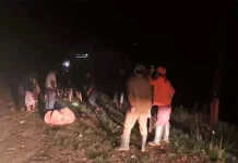 Banjir Rendam Konsel, Puluhan KK Bertahan di Pengungsian Banjir Rendam Konsel, Puluhan KK Bertahan di Pengungsian