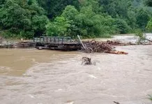 227 KK di Kecamatan Ueesi Koltim Terancam Kelaparan 227 KK di Kecamatan Ueesi Koltim Terancam Kelaparan