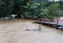 Jembatan Penghubung Putus, Warga Dua Desa di Konut Terisolasi Jembatan Penghubung Putus, Warga Dua Desa di Konut Terisolasi