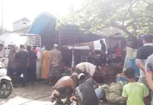 H-1 Lebaran, Pedagang Sapi di Lapai Kolut Diserbu Pembeli H-1 Lebaran, Pedagang Sapi di Lapai Kolut Diserbu Pembeli