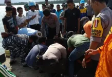 Pemuda Asal Konsel Ditemukan Tewas Tenggelam di Pelabuhan Desa Lakara Pemuda Asal Konsel Ditemukan Tewas Tenggelam di Pelabuhan Desa Lakara